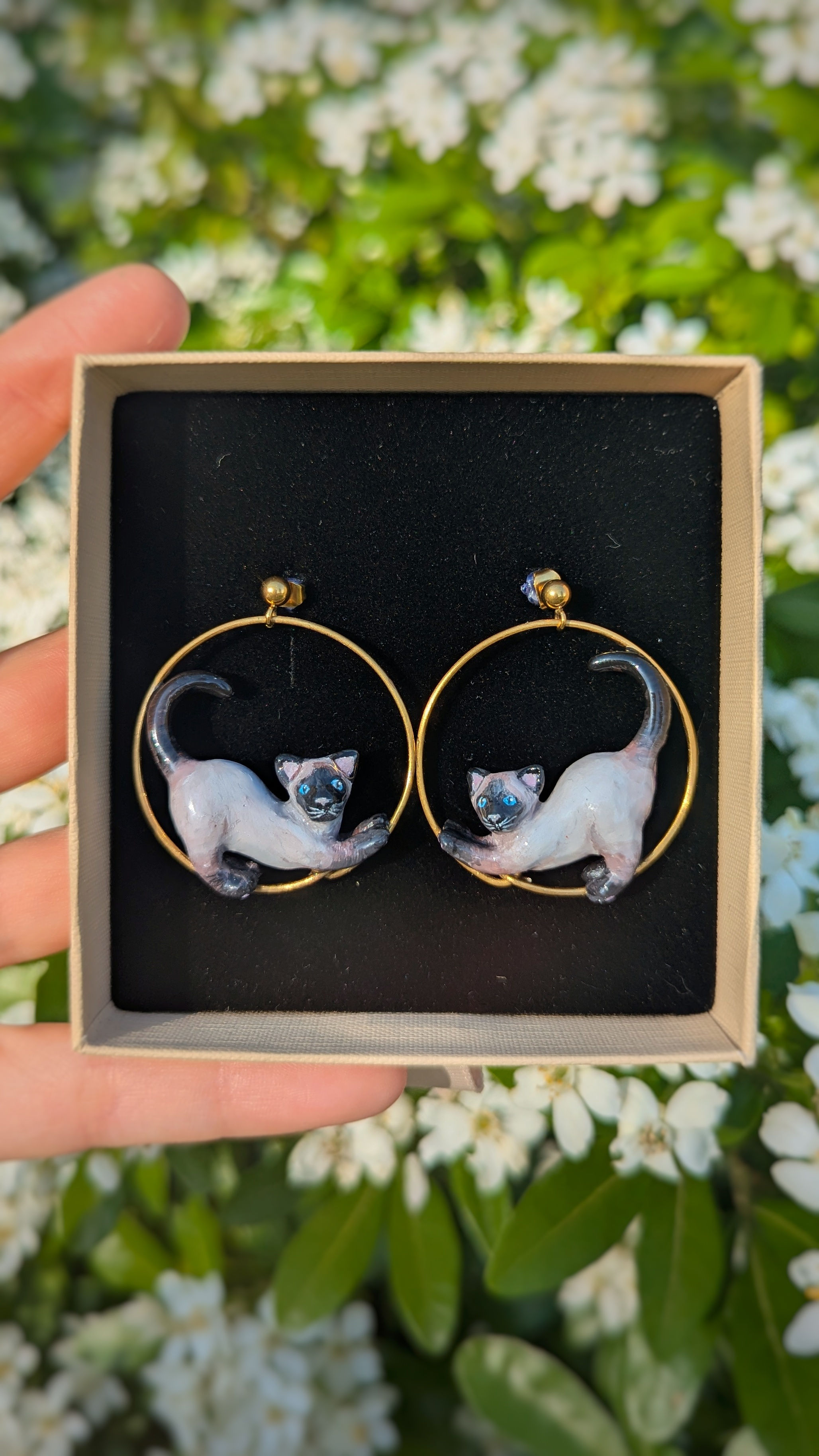 Boucles Chatons Siamois