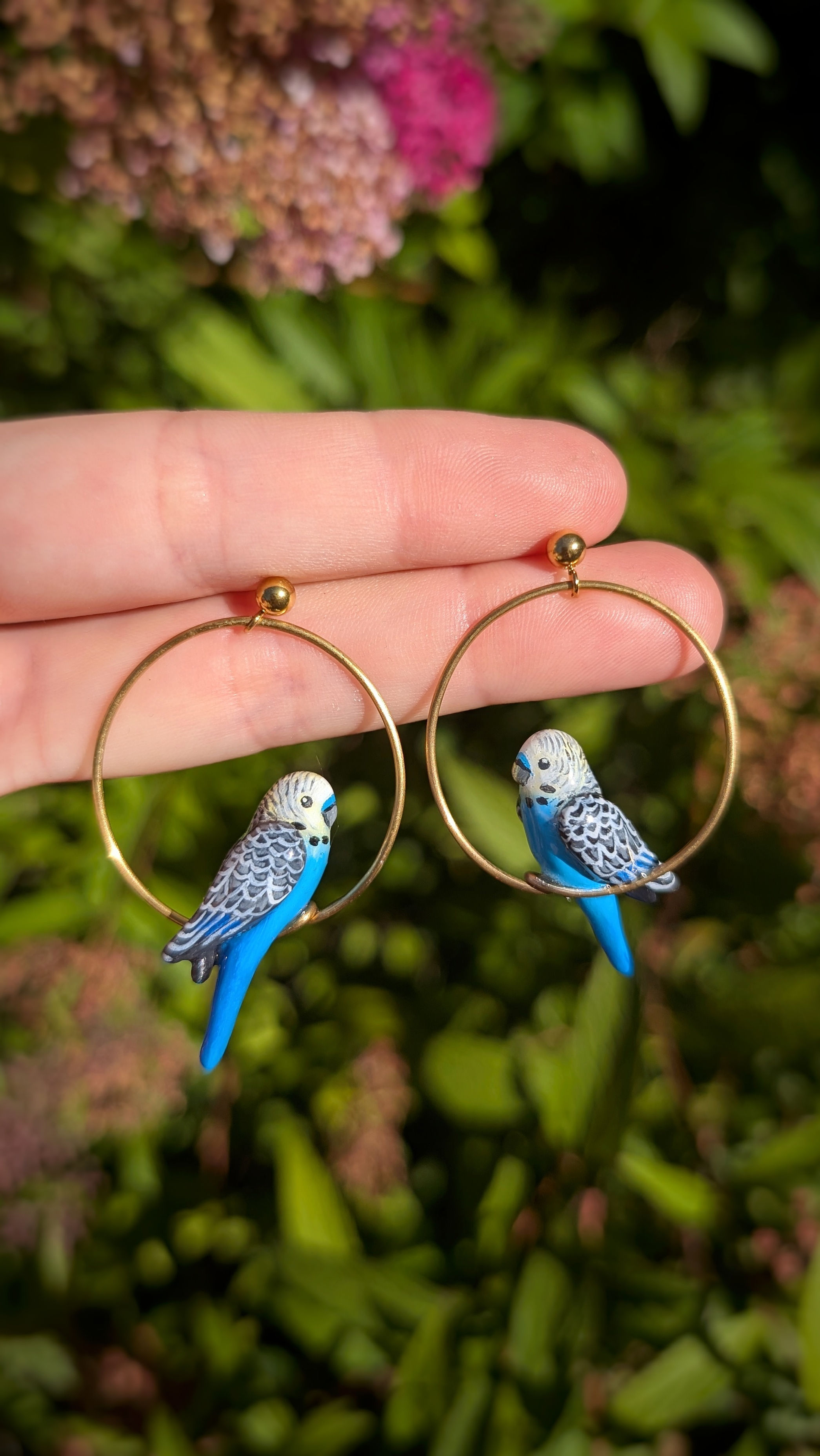 Boucles Perruche ondulée bleue