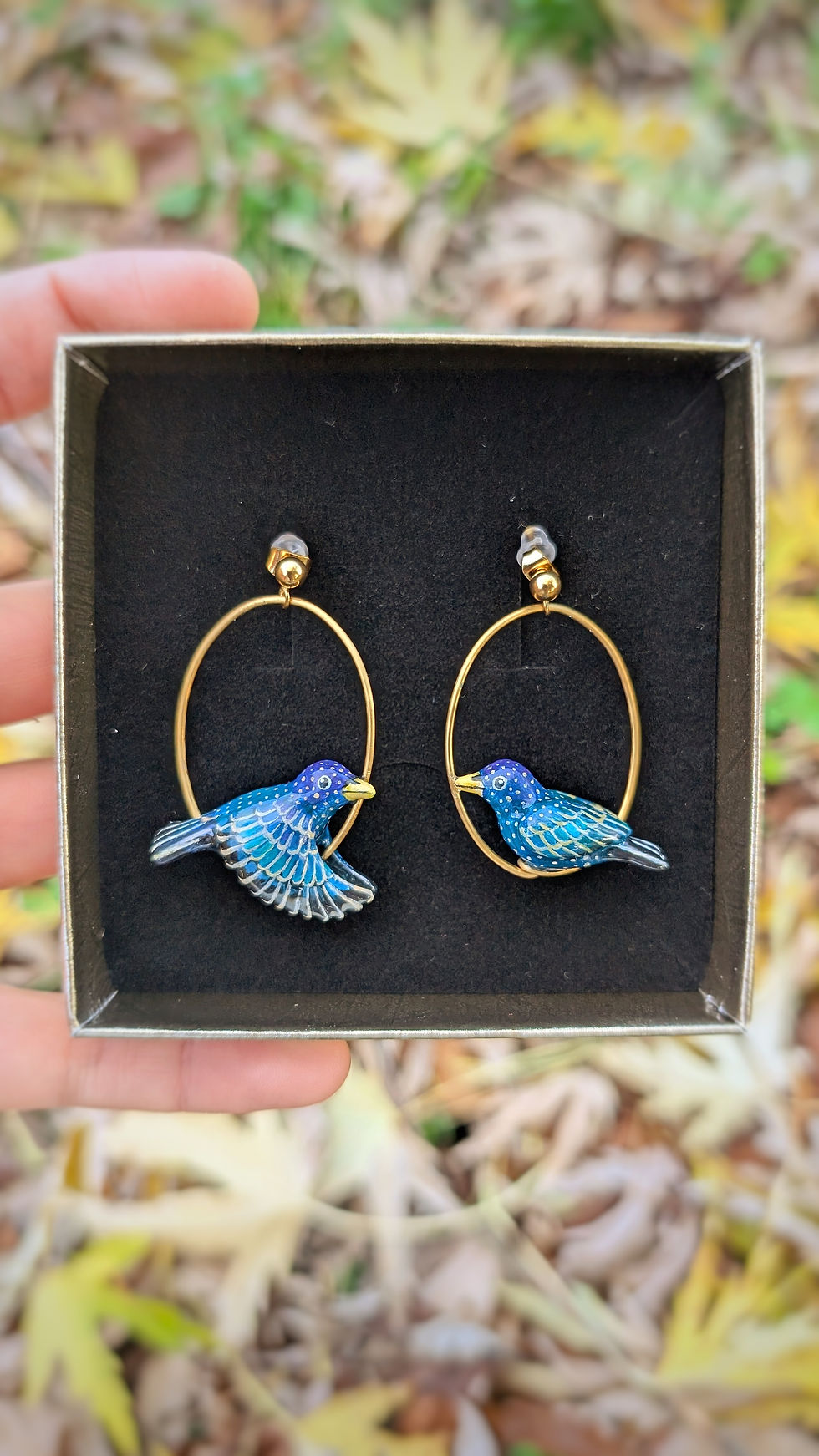 Miniature : Boucles Étourneau sansonnet 