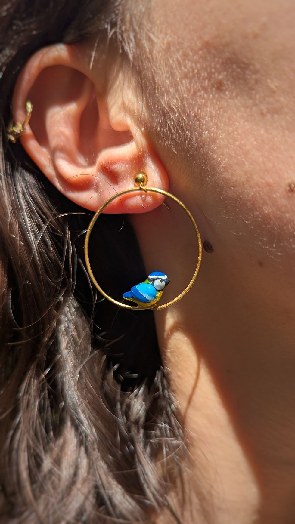 Miniature : Boucles trio mésanges bleues