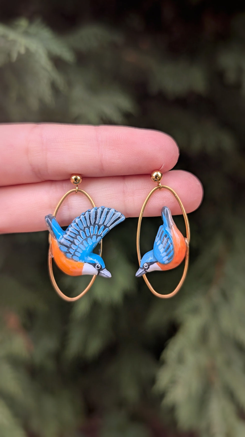 Miniature : Boucles Sittelle Torchepot en vol