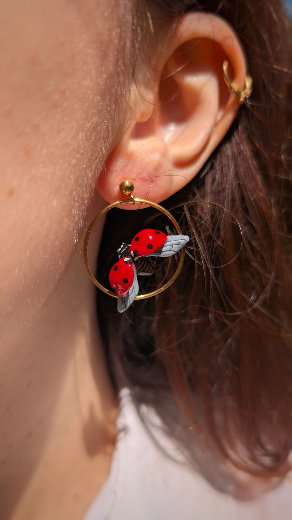 Miniature : Boucles Coccinelle 