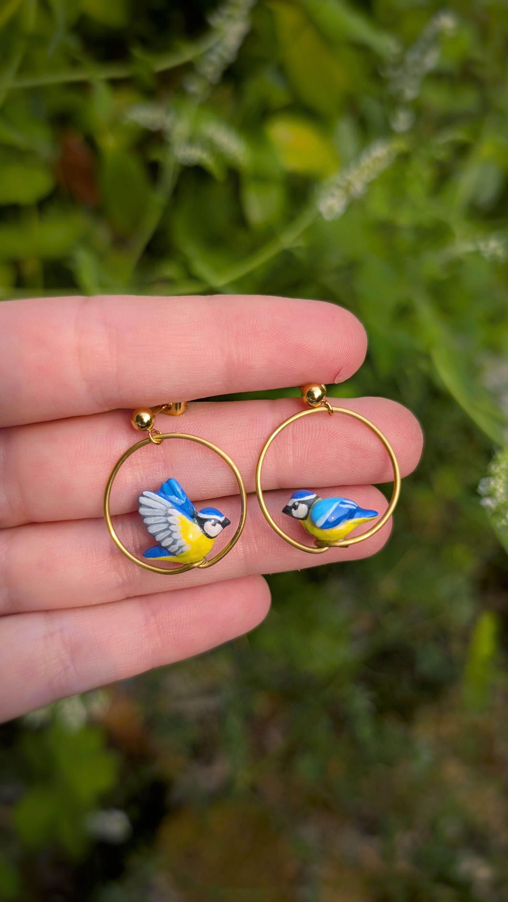 Boucles Mésange bleue en vol