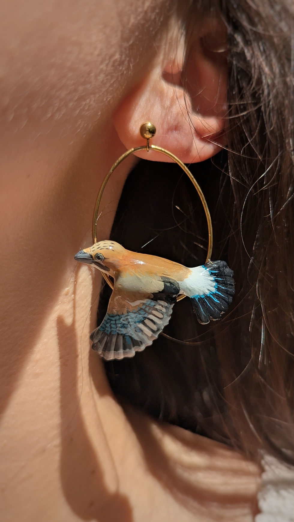 Miniature : Boucles Geai des chênes en vol