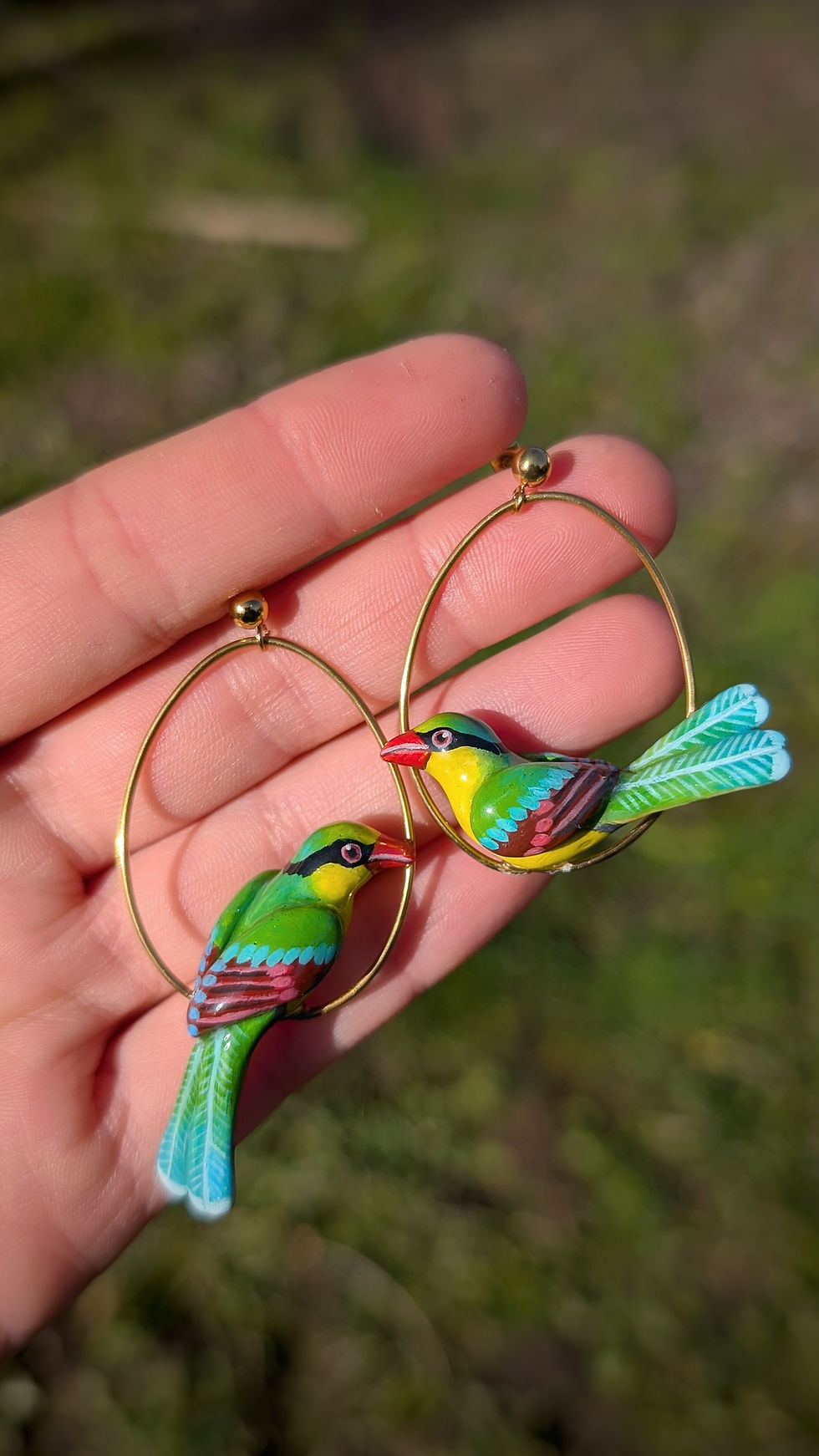 Miniature : Boucles Pirolle à ventre jaune 