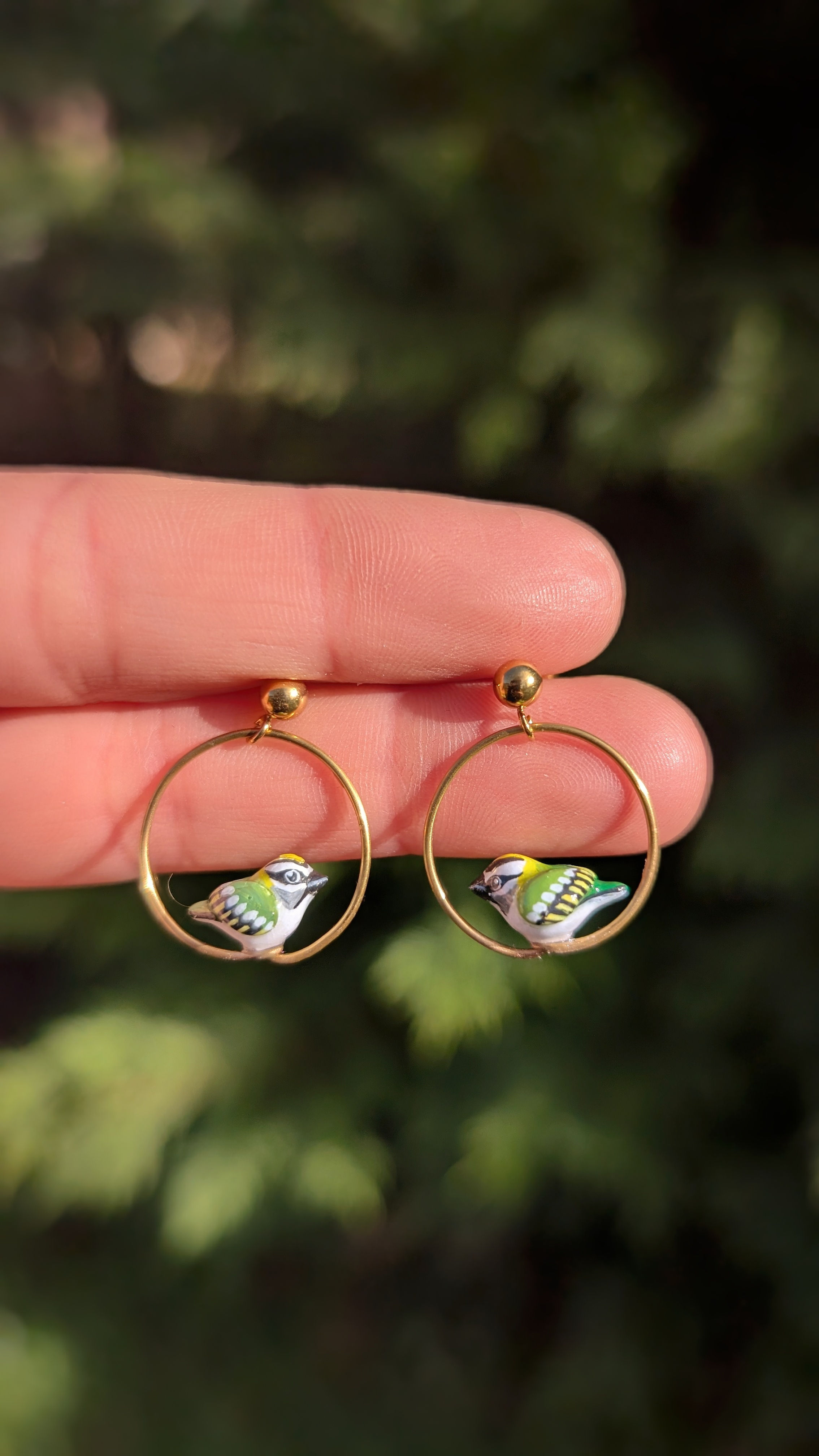 Boucles Roitelet à triple bandeau