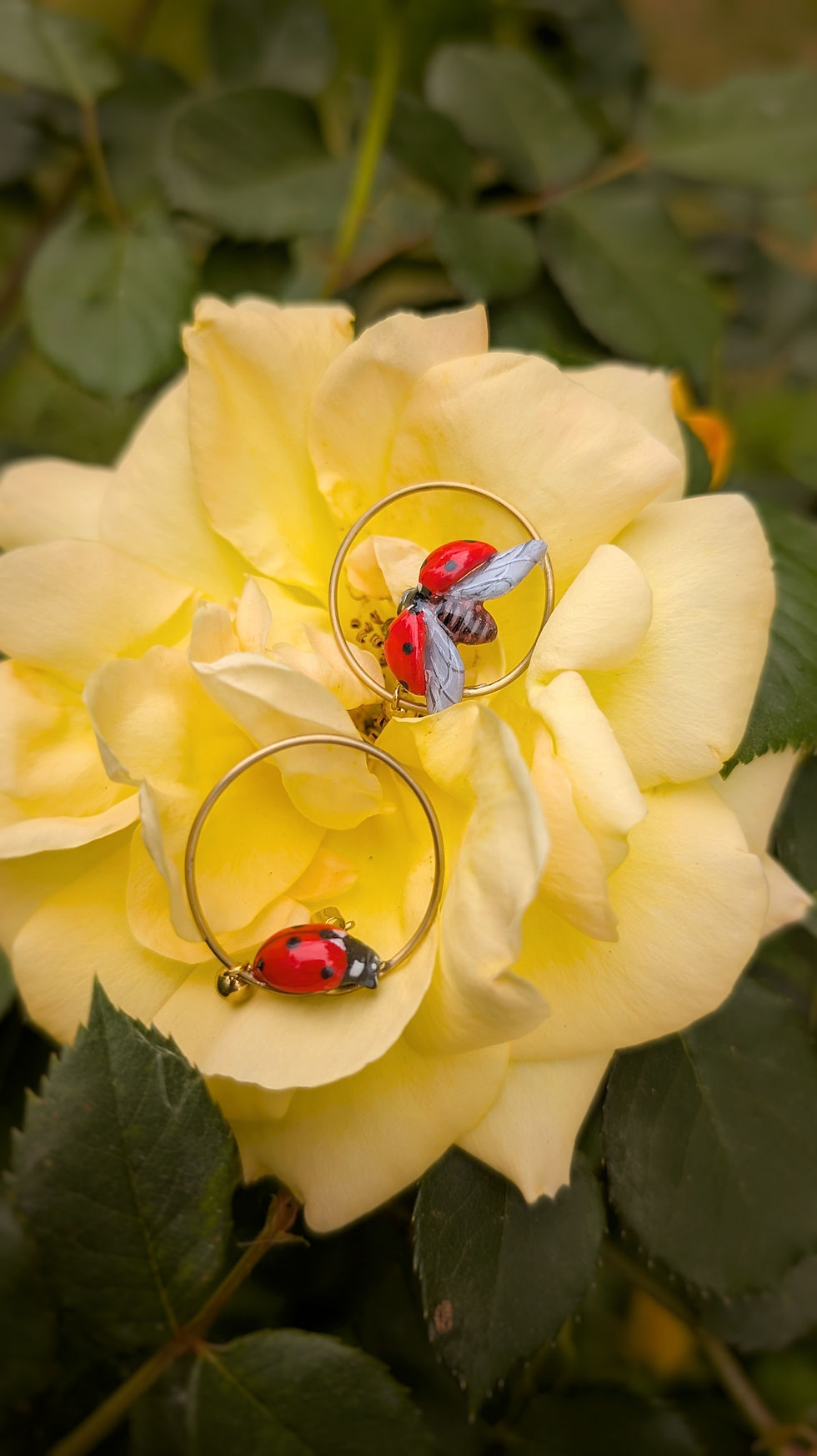 Miniature : Boucles Coccinelle