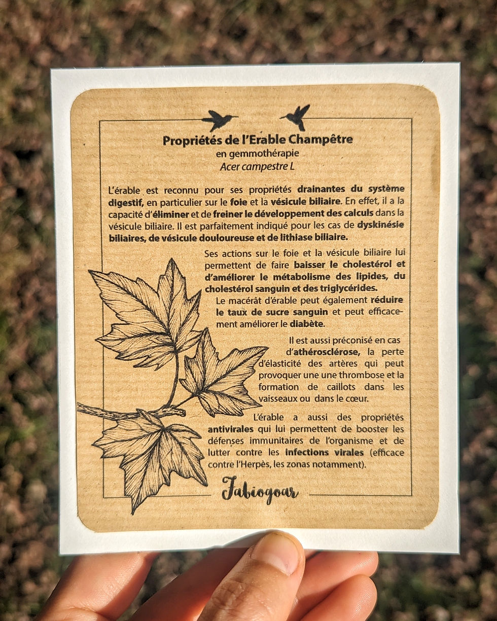 Miniature : Pendentif feuille d'Erable