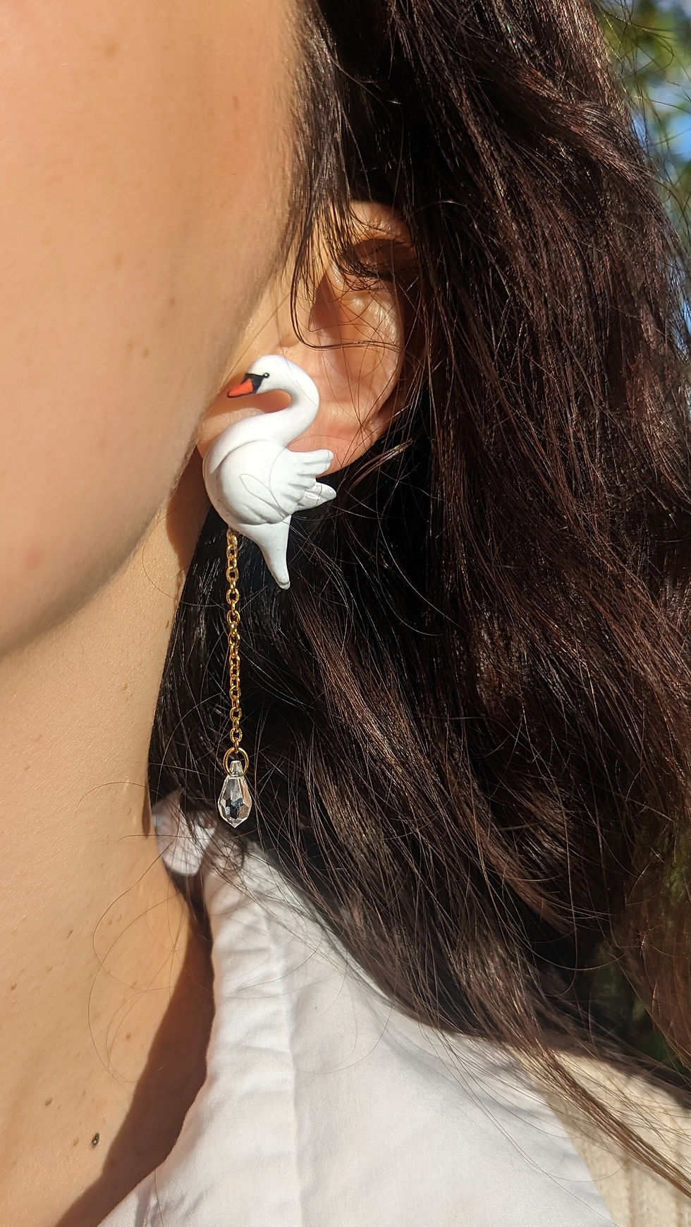 Boucles Cygnes 