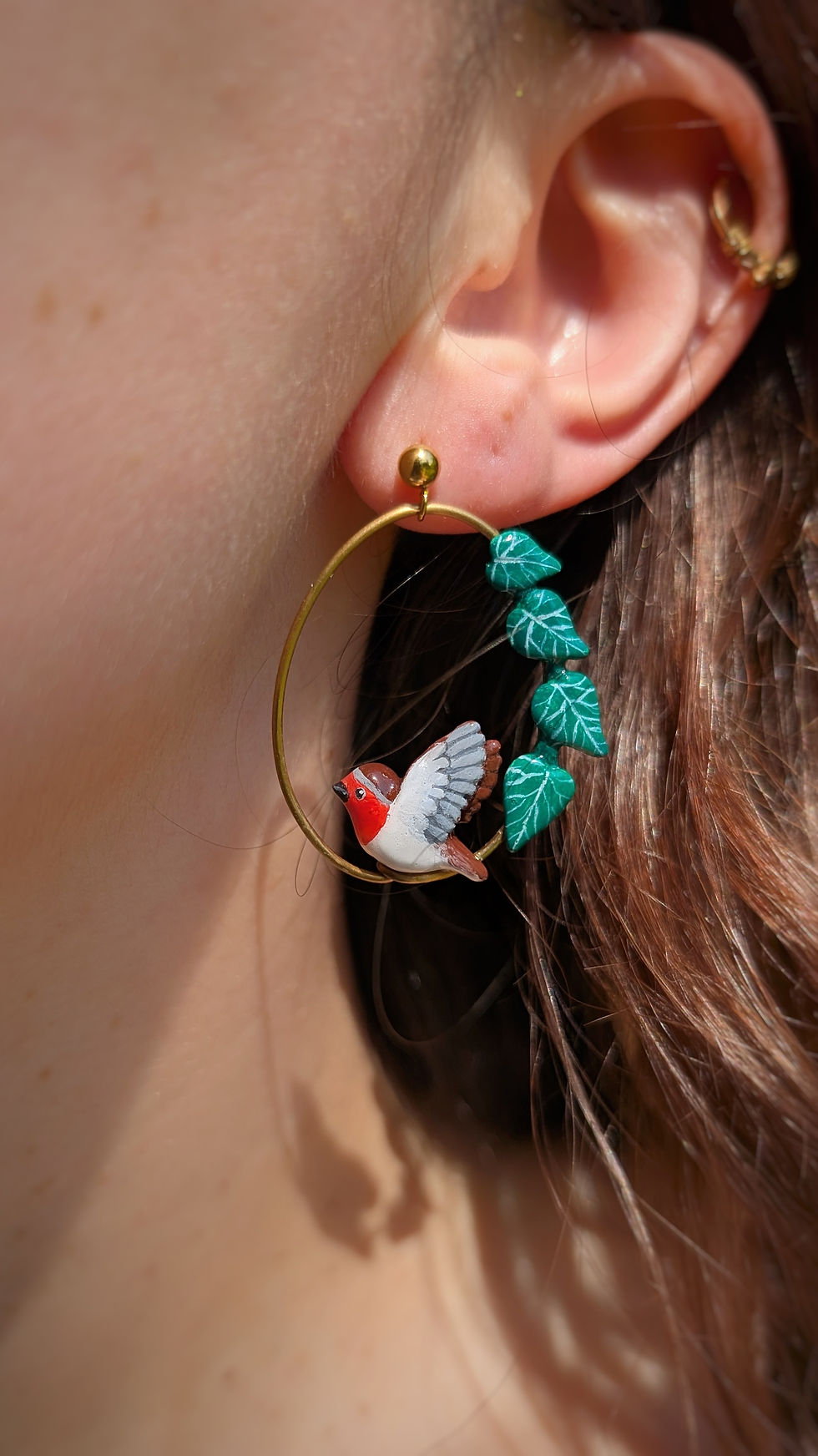 Miniature : Boucles Rouge-gorge nid, bébés et lierre