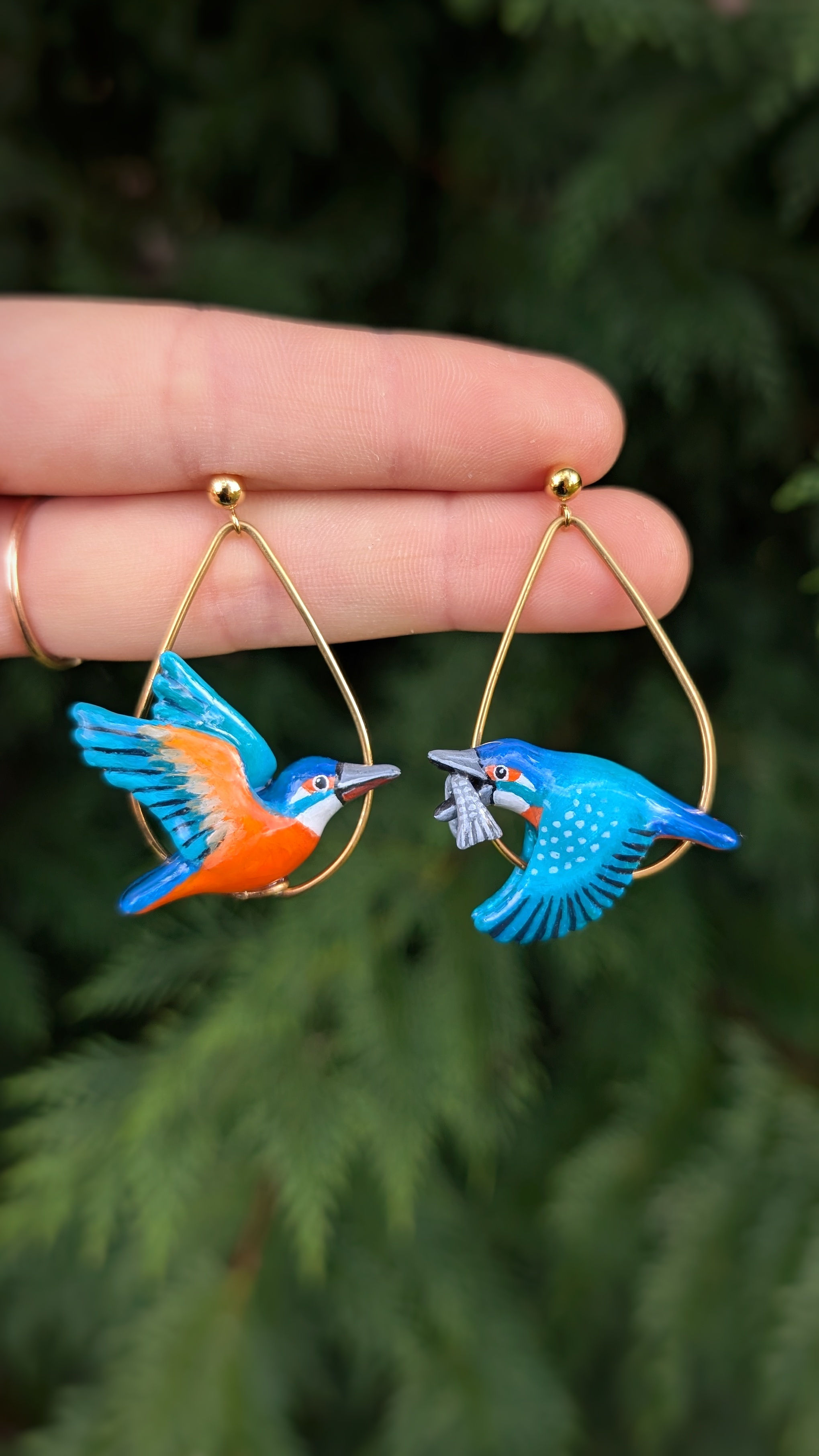 Boucles Martin pêcheur en vol