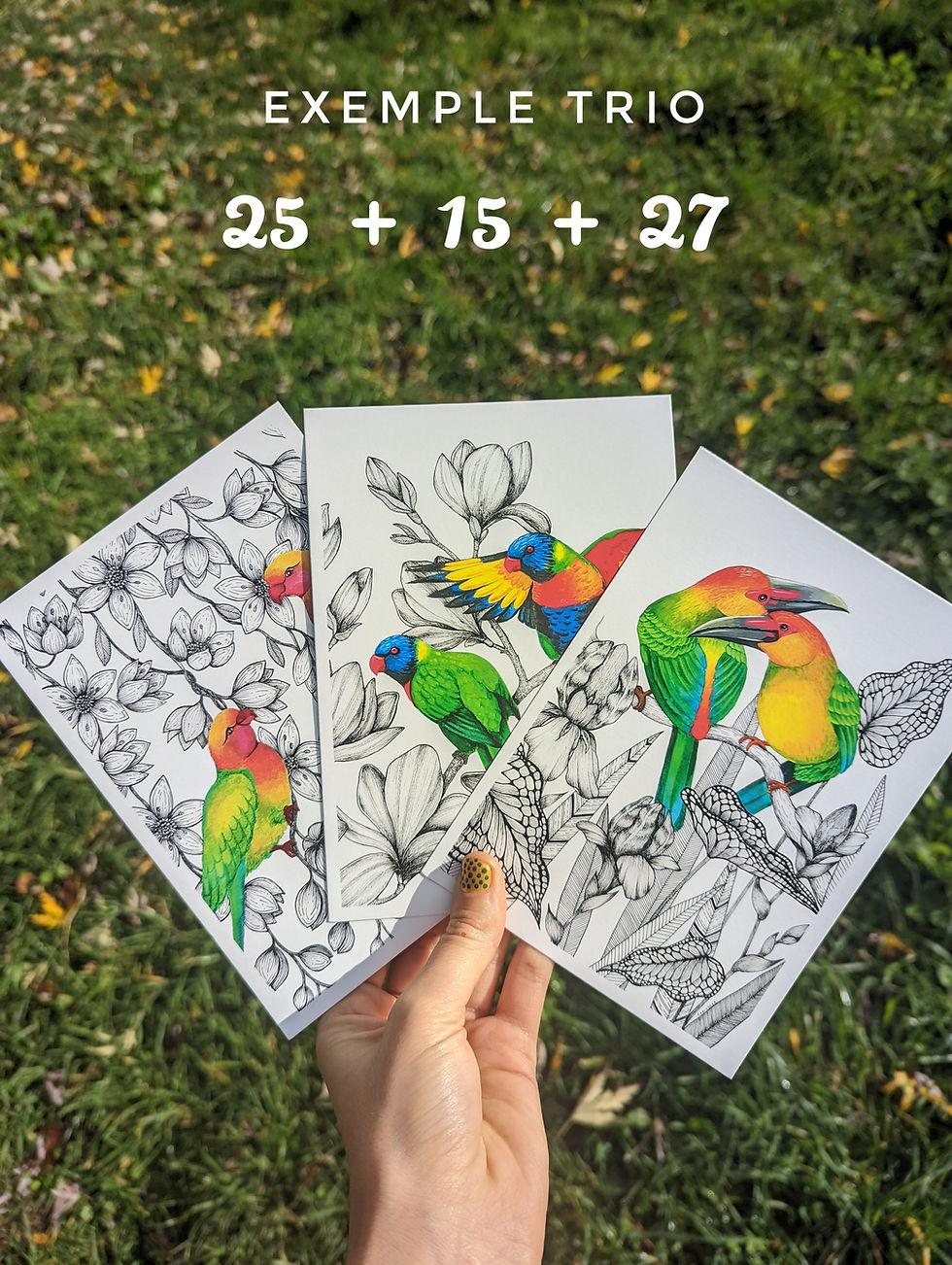Miniature : Cartes illustrées (lot de 4 à composer)