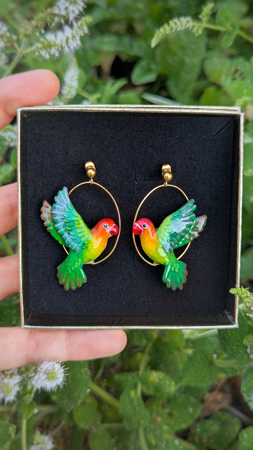 Miniature : Boucles Inséparables en vol