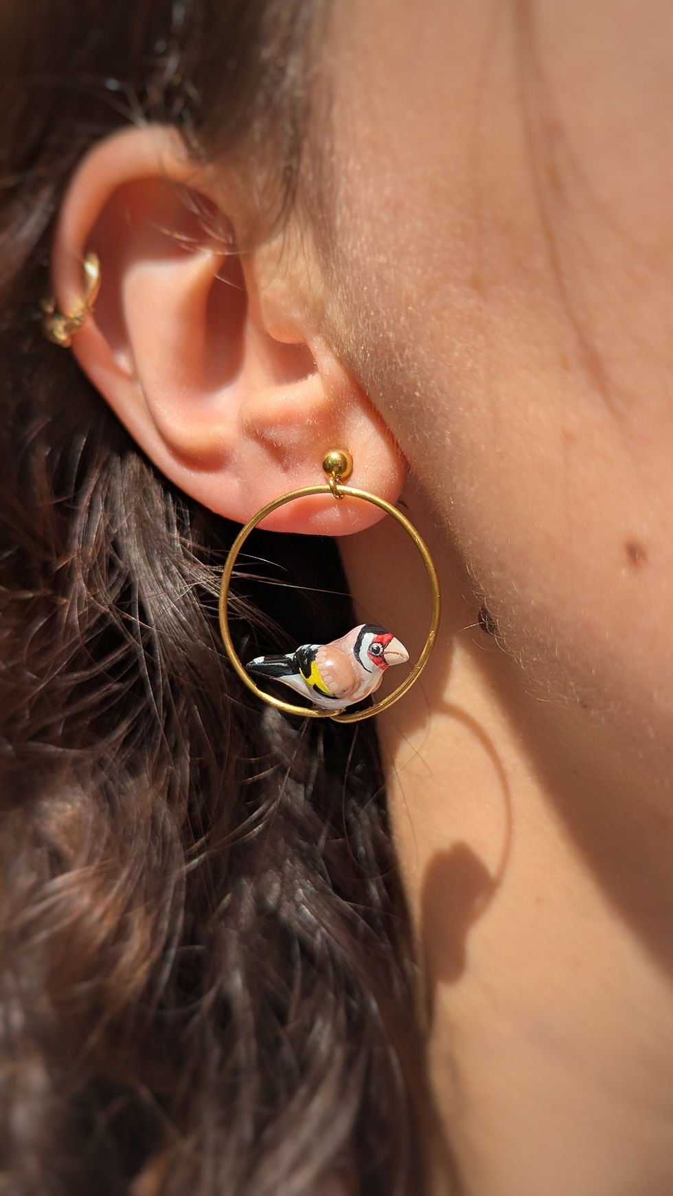 Miniature : Boucles asymétriques Chardonneret élégant