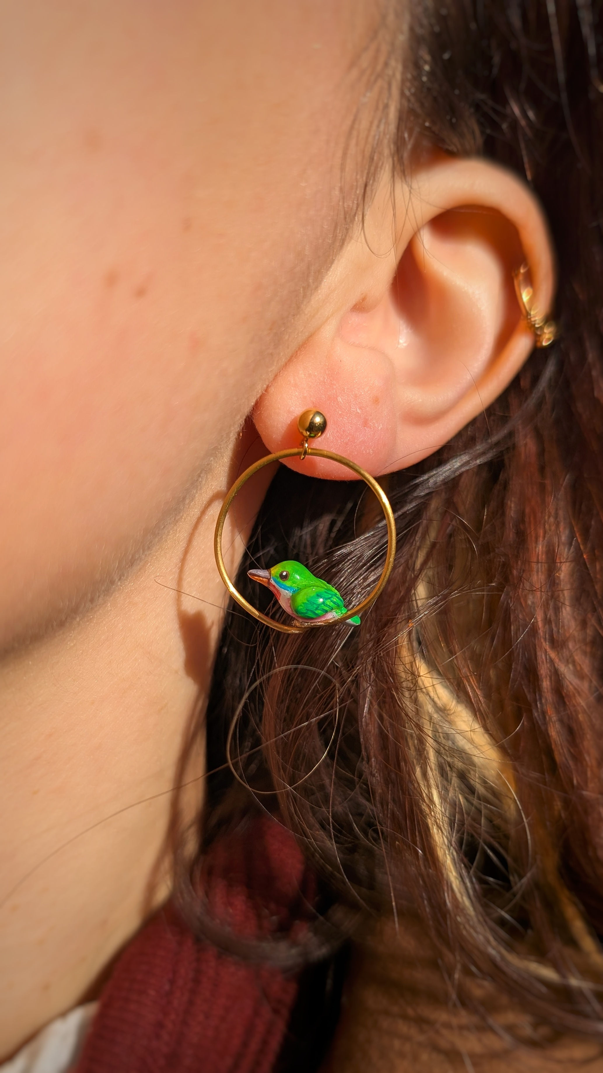 Boucles Todier de Cuba