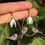 Miniature : Boucles Perce-neige et Orite à longue queue 