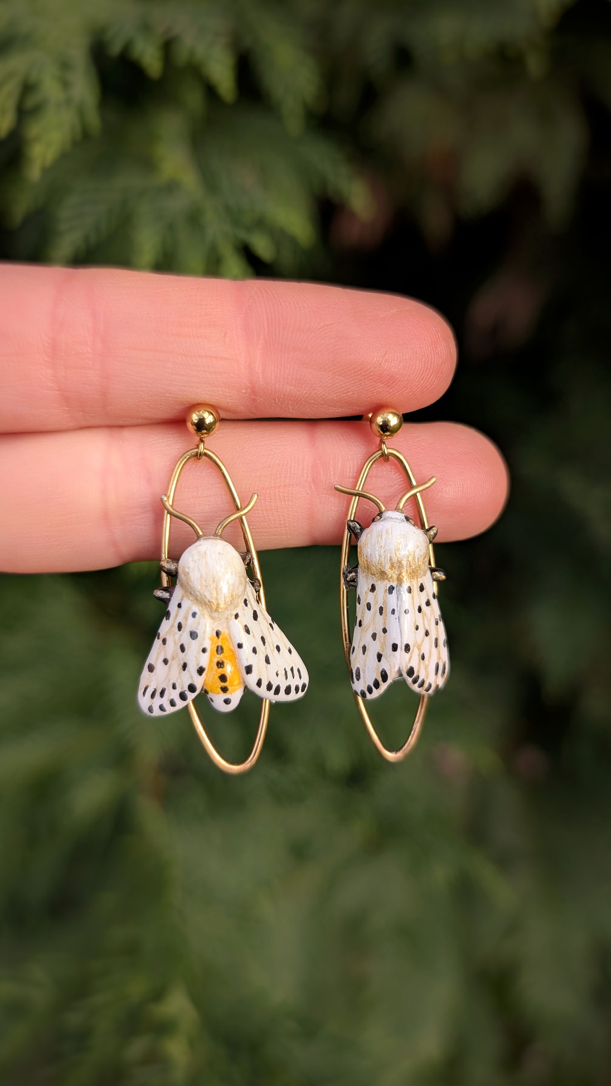 Boucles Écaille tigrée