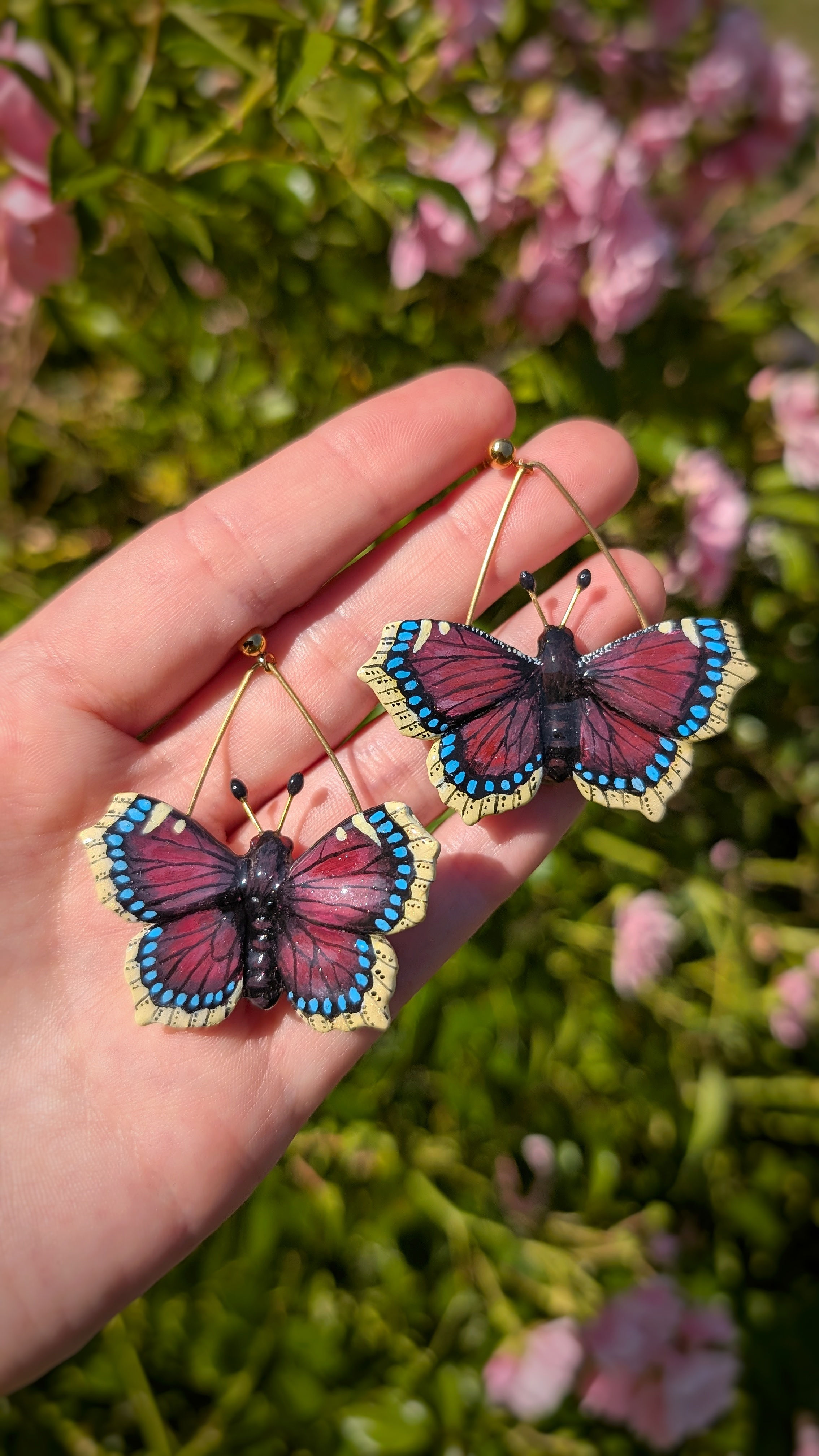 Boucles Papillon Morio royal
