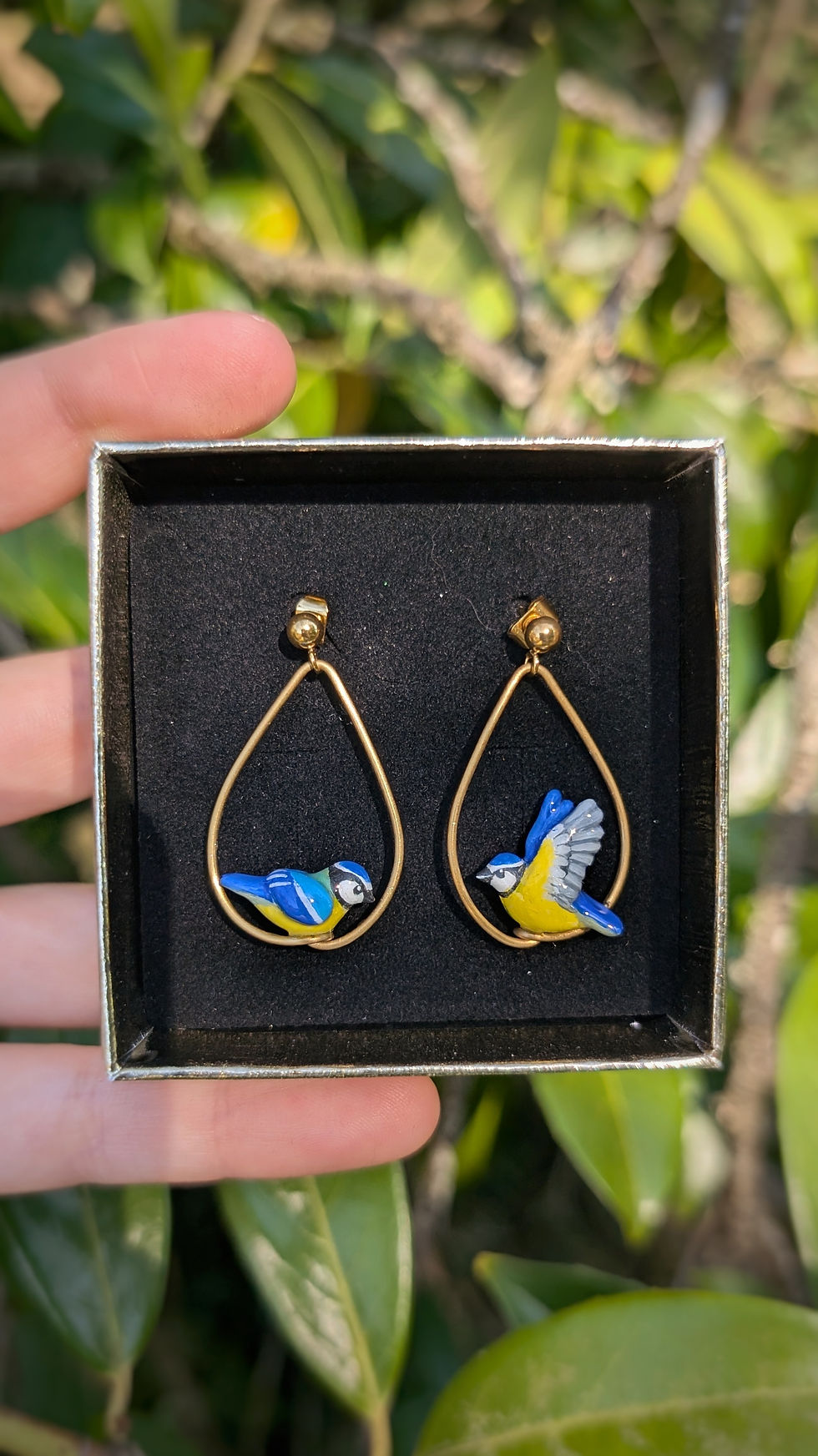 Miniature : Boucles Mésange bleue en vol
