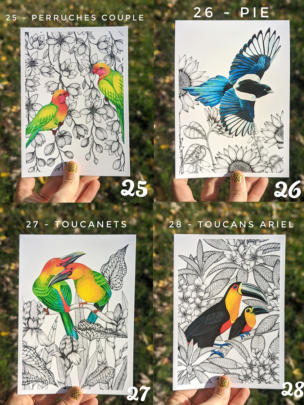 Miniature : Cartes illustrées (lot de 4 à composer)