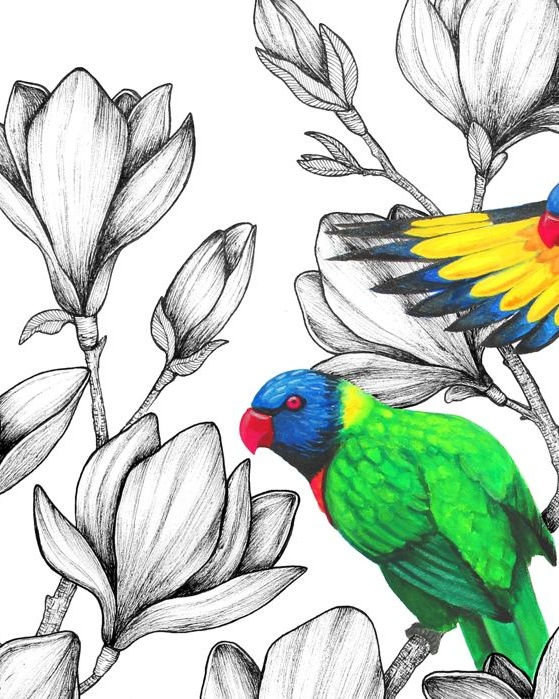 Miniature : Illustration Loriquet Arc-En-Ciel