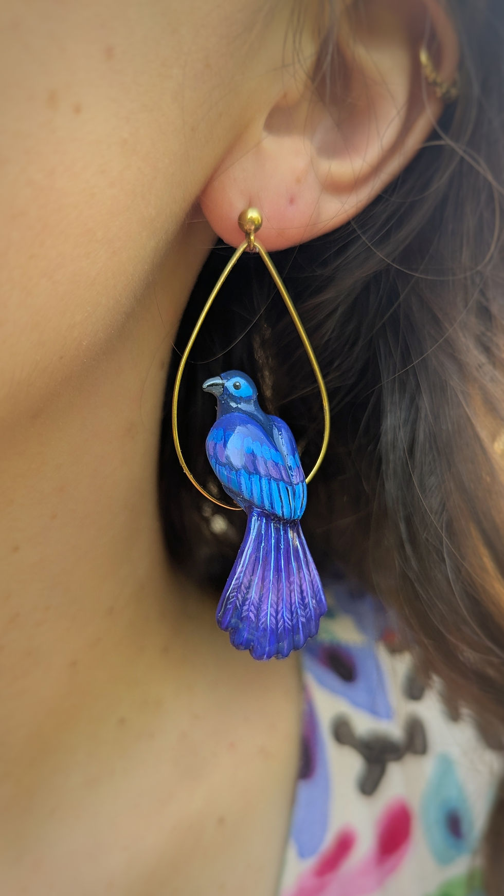 Miniature : Boucles Coua bleu