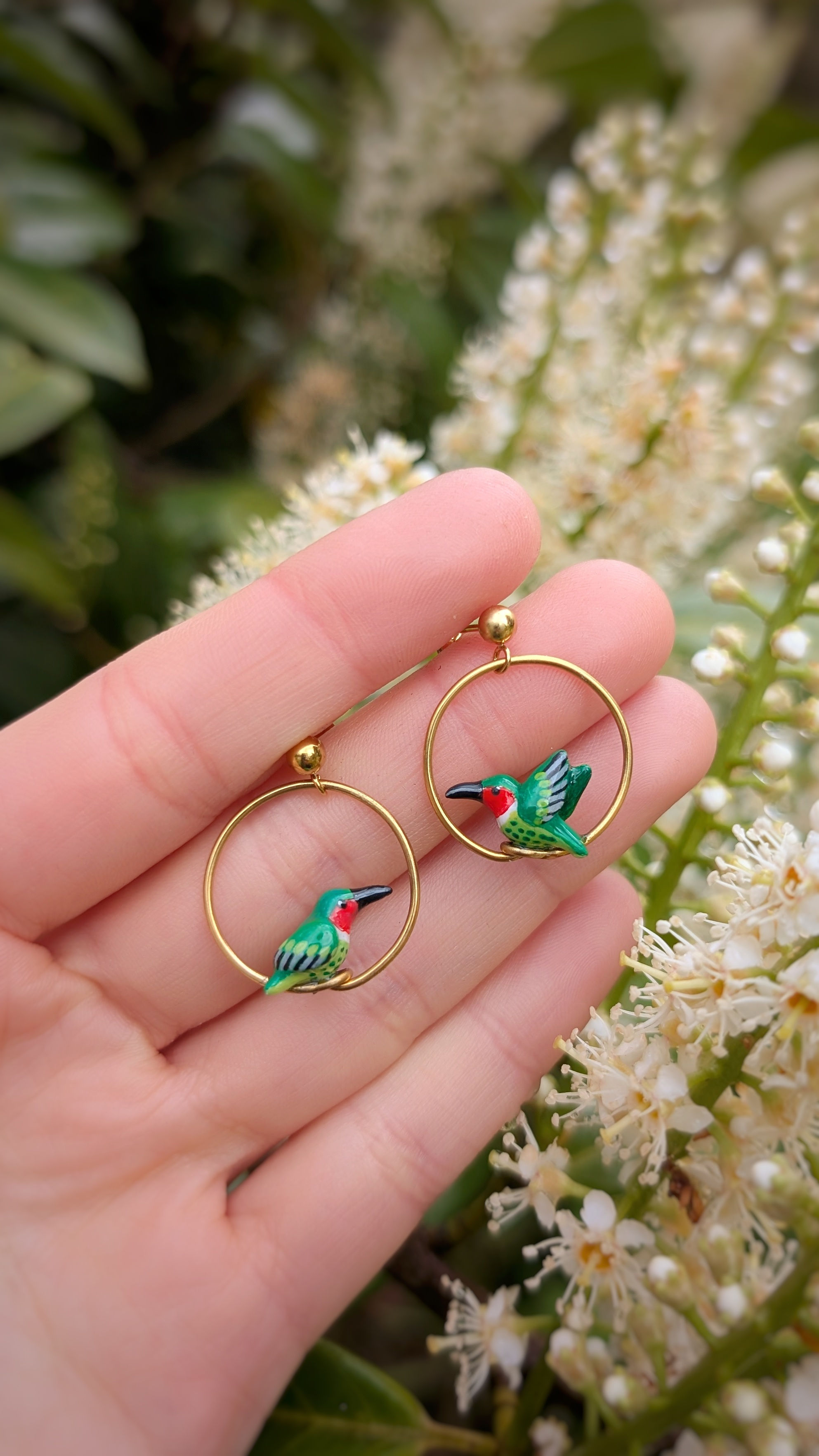 Boucles Colibri vert à gorge rouge 