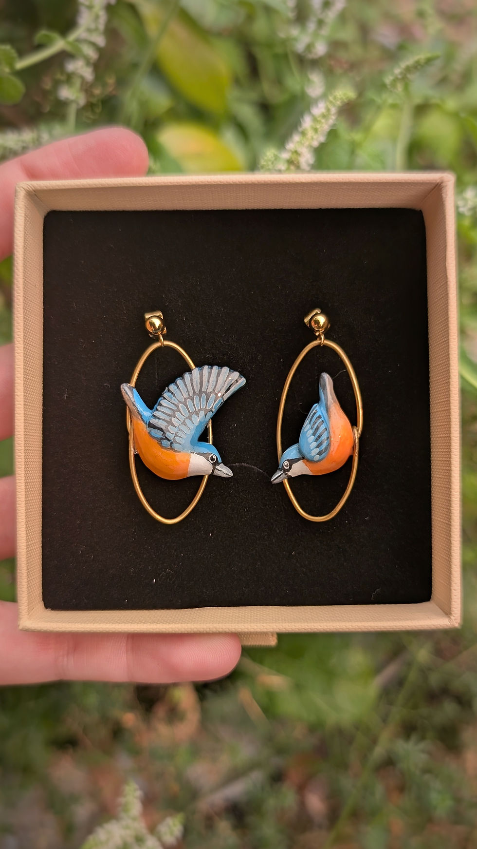 Miniature : Boucles Sittelle Torchepot en vol