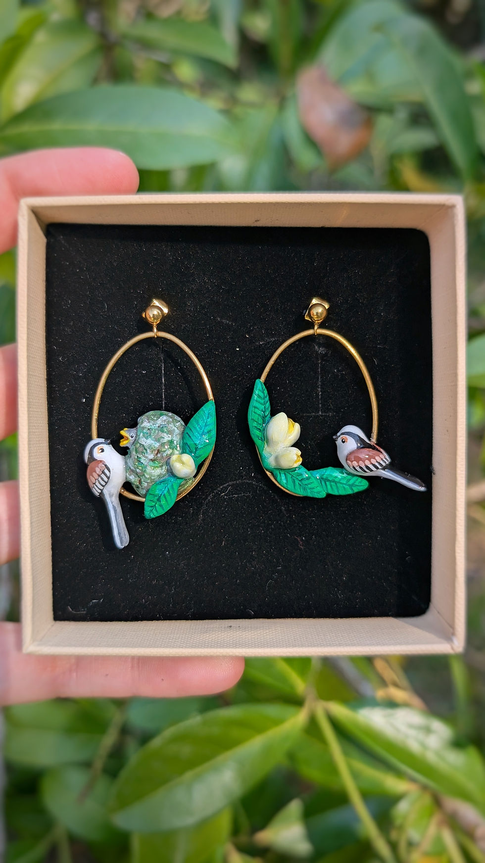 Miniature : Boucles Orite à longue queue nid et bébés 