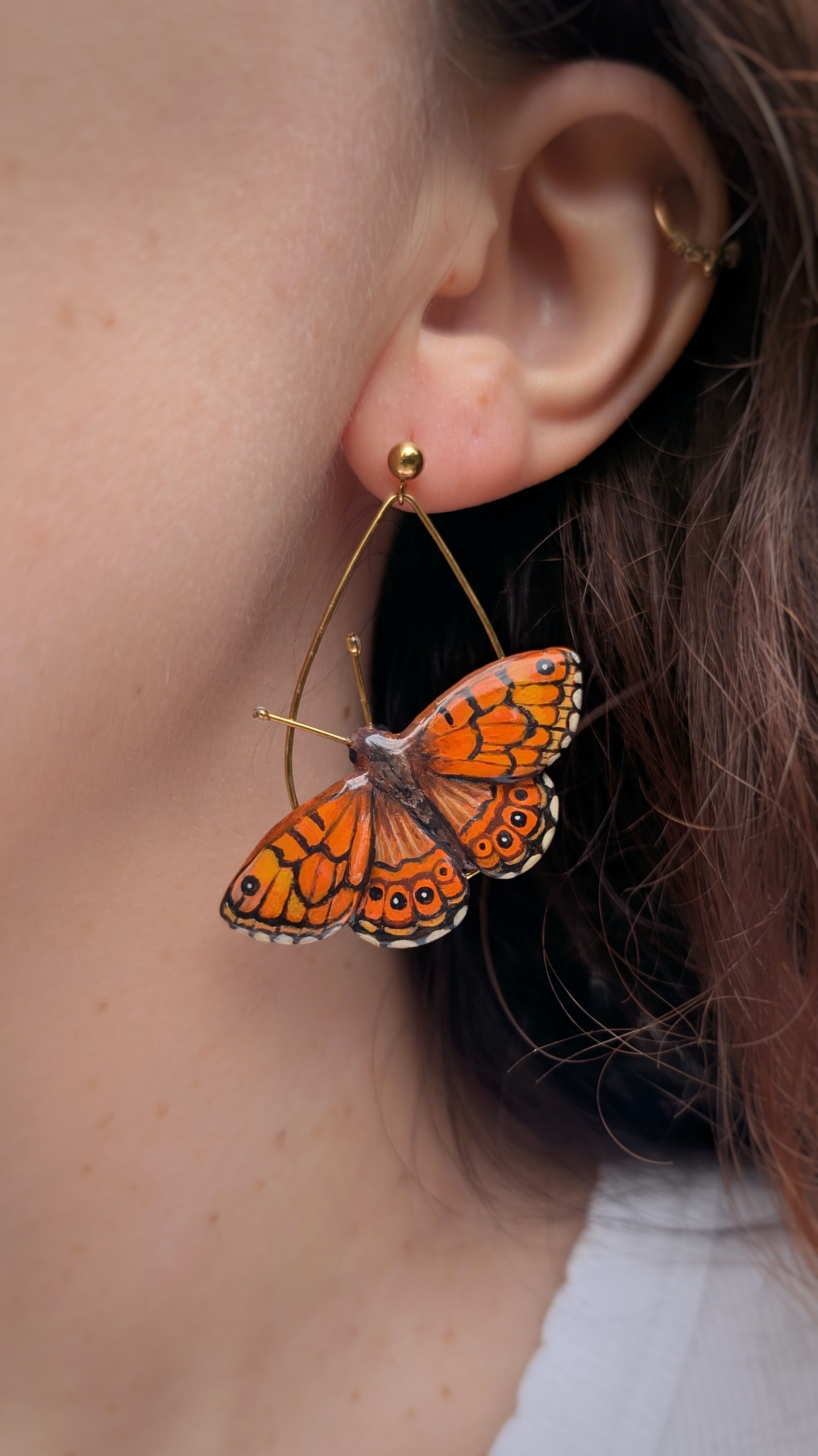 Boucles Papillon Mégère