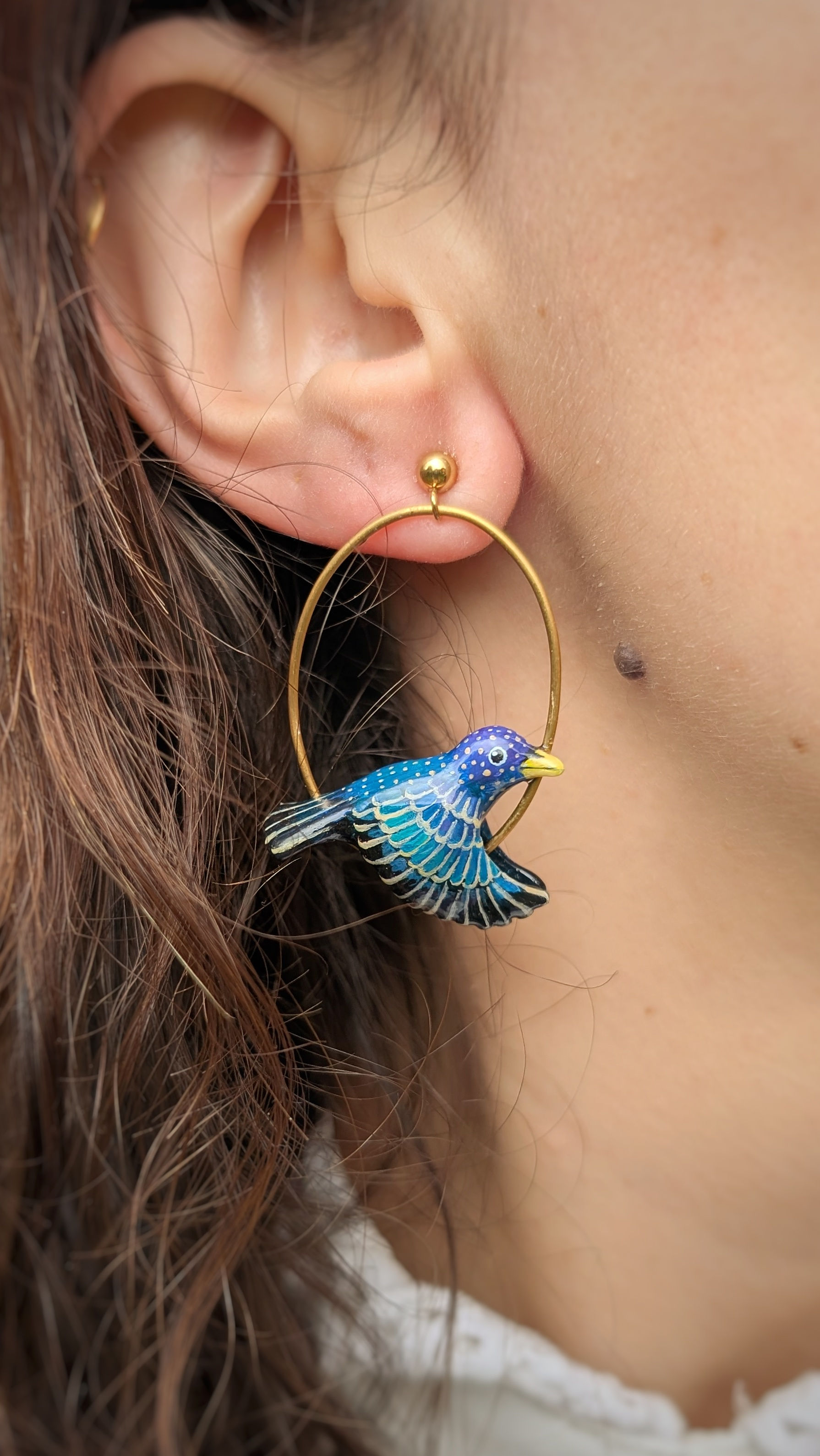 Boucles Étourneau sansonnet 