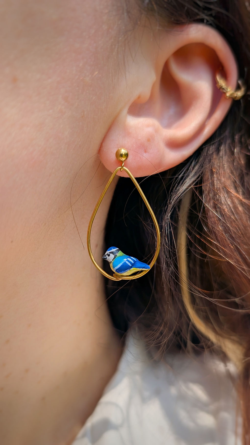 Miniature : Boucles Mésange bleue en vol 