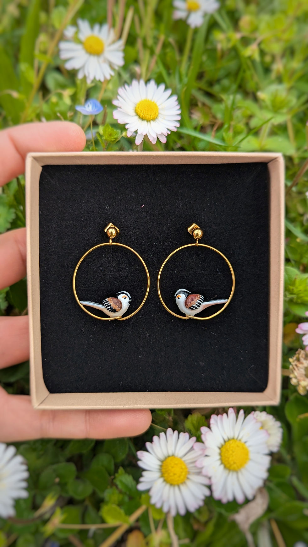 Miniature : Boucles Orite à longue queue