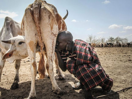 Part 2: Snapshot Of The Karamoja Regional Development Plan