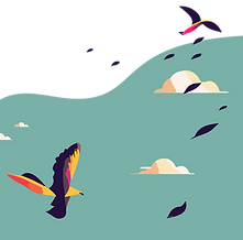 birds