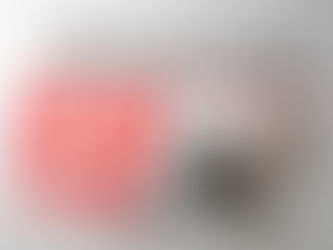 通通大路通加拿大?史上最宽松留学生移民政策公布!