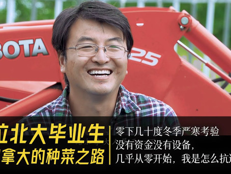 听说加拿大也有一位“李子柒”?