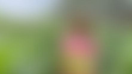 Harvest: A Reflection on Achievement, Resilience, and Leading with Growth