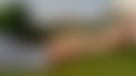 Jim & Savannah's love story continues in We Do! weddings