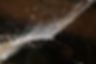 5J4A4734.JPG