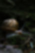 5J4A1557.JPG