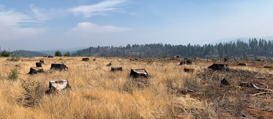 Fire Ravaged Town Buys Land to Use as Fire Breaks