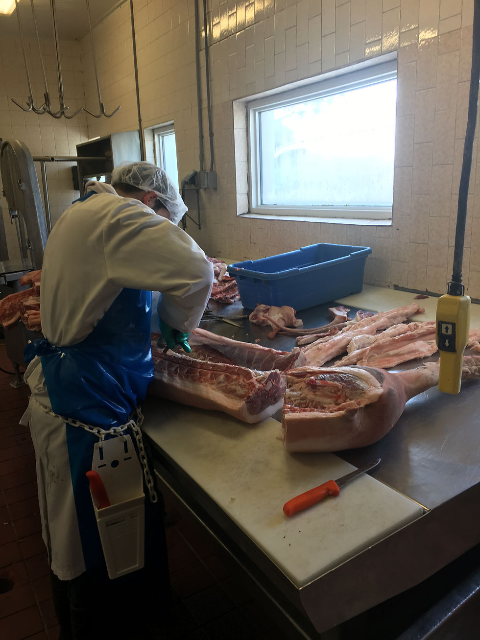 Thumbnail: Heritage pork 