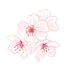 2b9cfa5cbbbcf0e7b251280e00bfaa32-removebg-preview.png