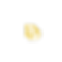 Untitled Project.png