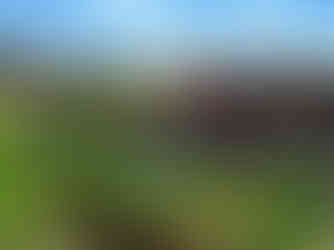 High Line Park, New York City