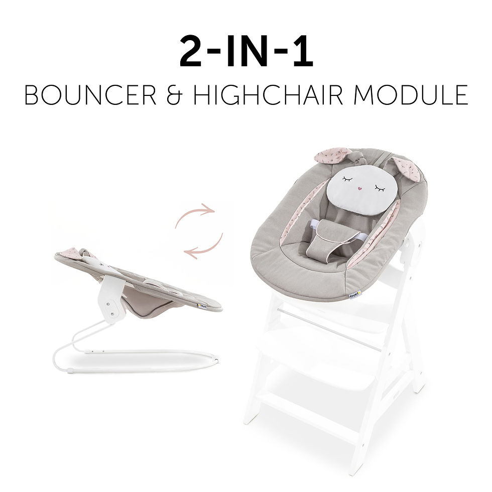 Thumbnail: Hauck Alpha Bouncer 2 in 1- Beige Bloom Rocker & Bouncer