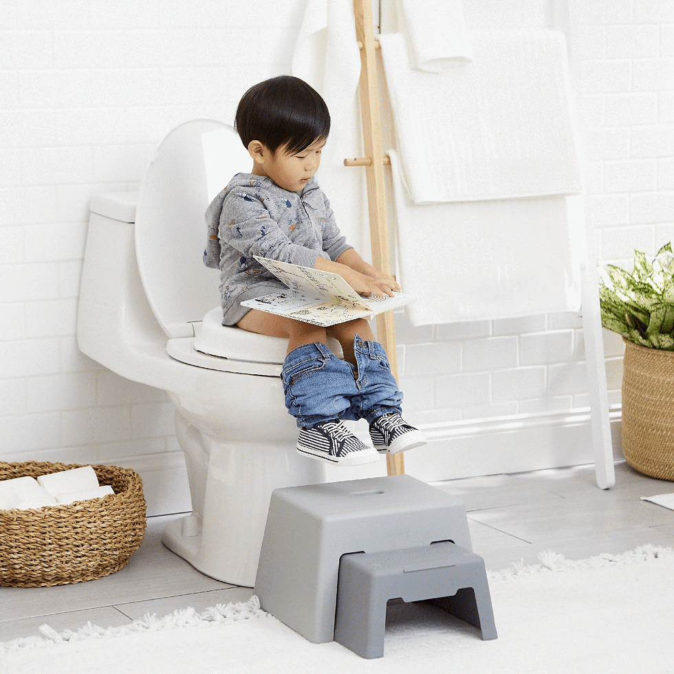 Thumbnail: Skip Hop Go Time 3in1 Potty - White & Grey