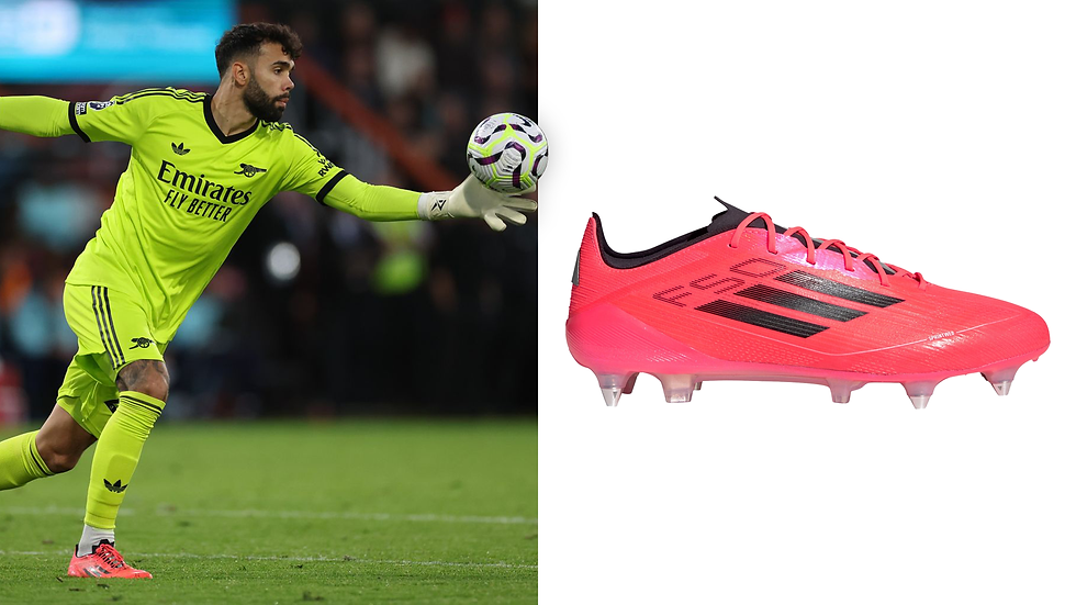 David Raya, the best goalkeeper in the Premier League and the Adidas F50 Elite