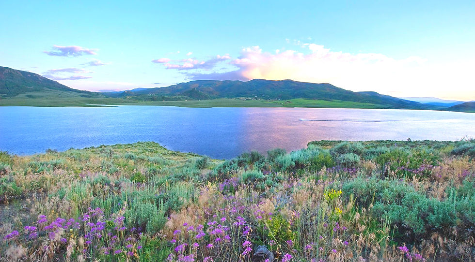 Water, Wildlife, & Wildfire with SMR